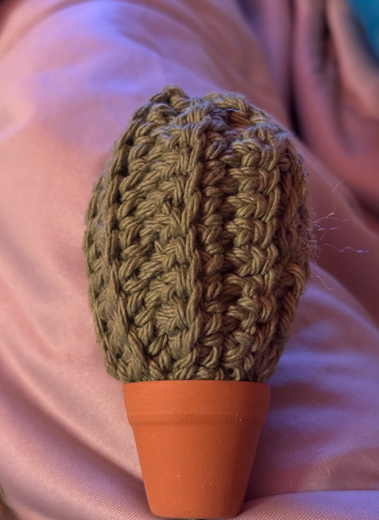 Mini Crochet Cactus in Terracotta Pot