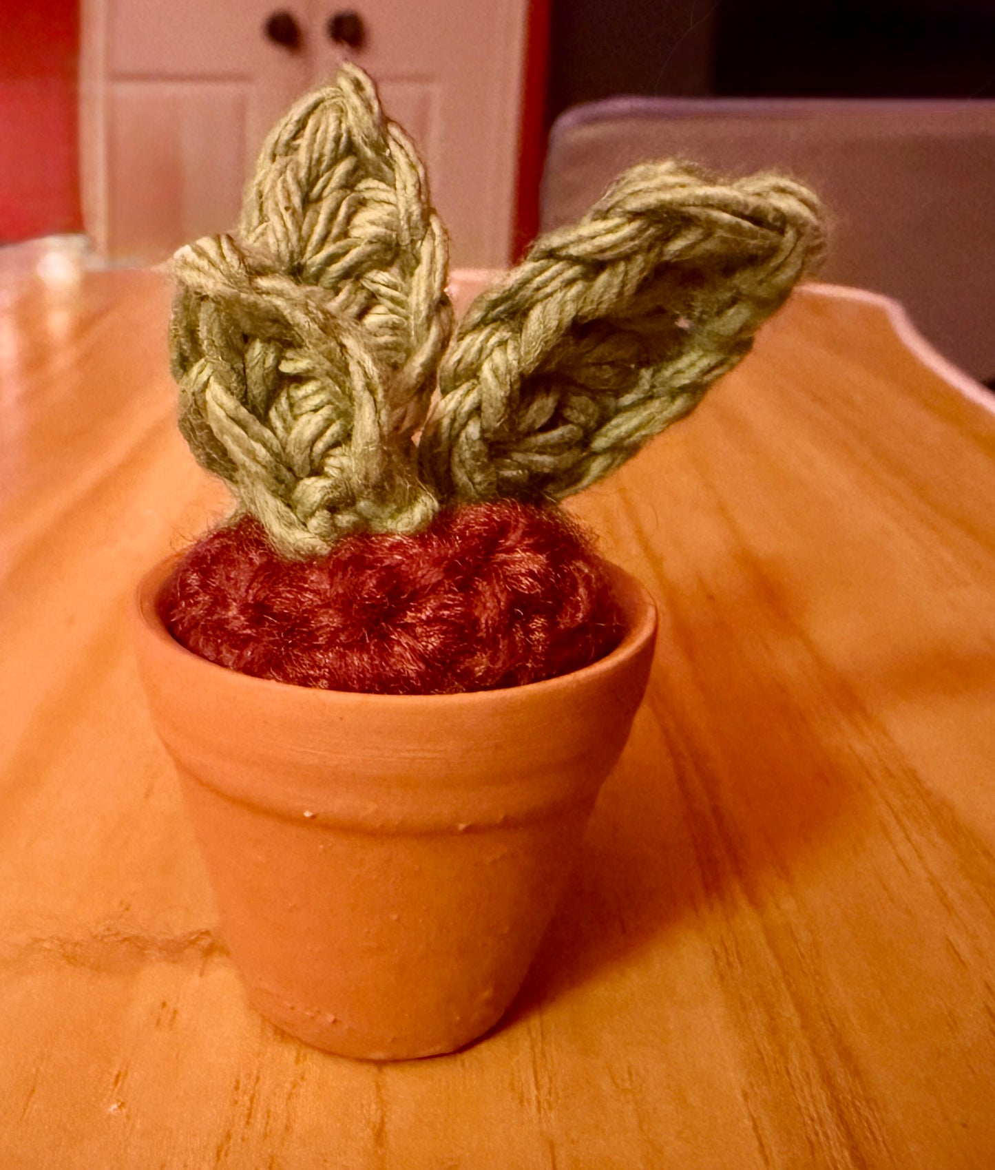 Handmade Crochet Succulent in Mini Terracotta Pot